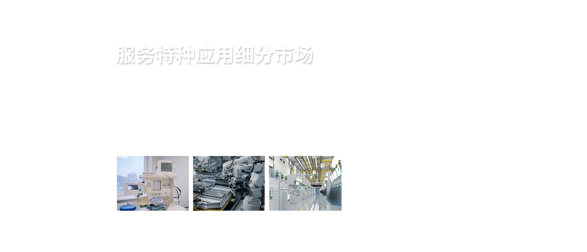 服务特种应用细分市场