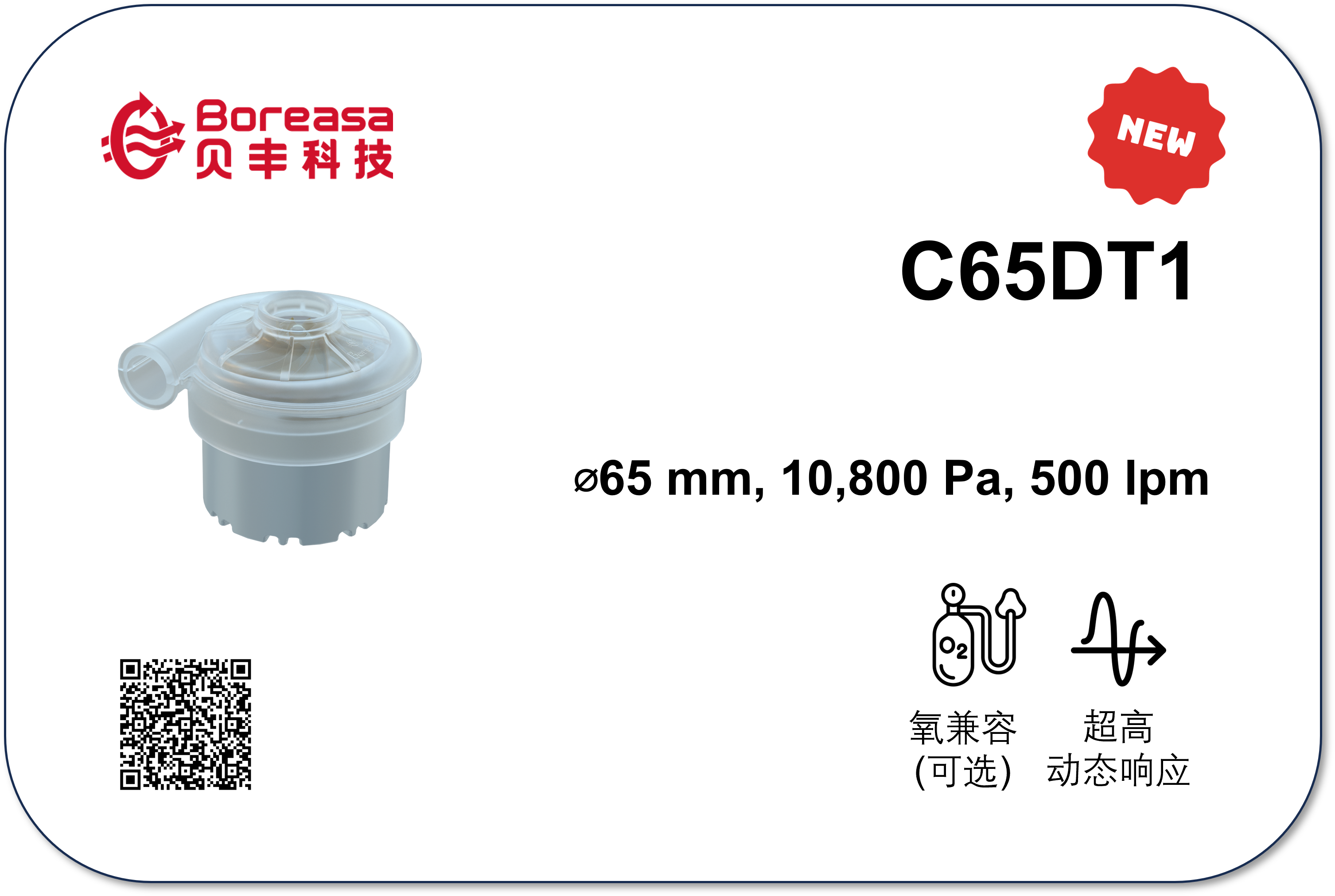 C65DT1.png