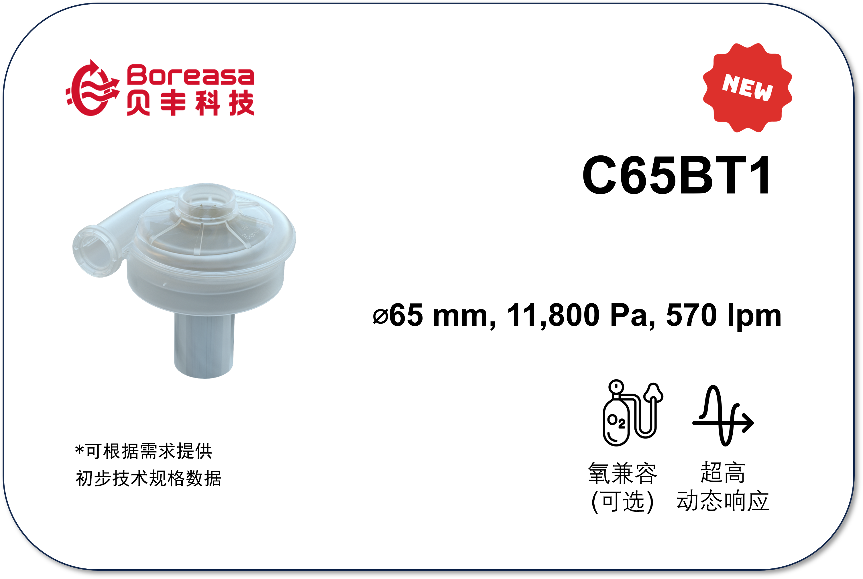 C65BT1.png